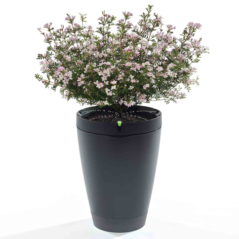 Умный горшок Parrot Pot